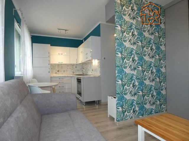 Kawalerka, piwnica, pet-friendly  - Wilka 10