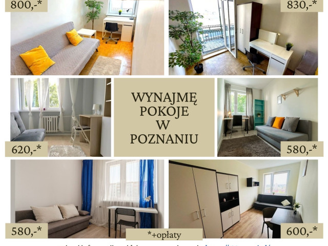 Atrakcyjne pokoje do wynajęcia w Poznaniu